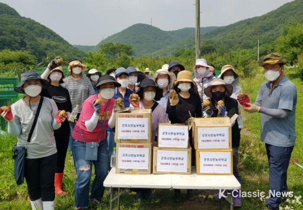 지난해 제1기 군포시민농부학교 수강생들이 땀이 어려있는 수확의 기쁨을 만끽하고 있다.