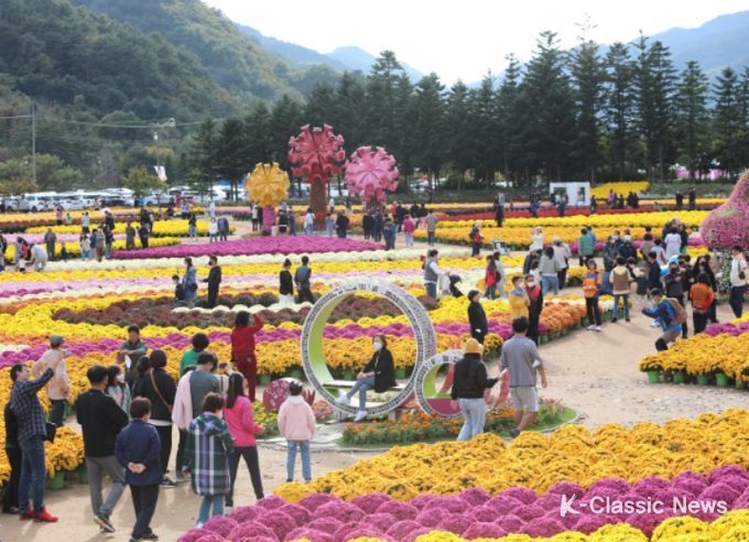 인제 가을꽃축제