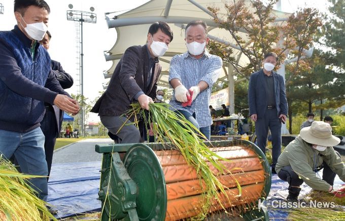 갈월샘텃밭 벼 베기 체험행사