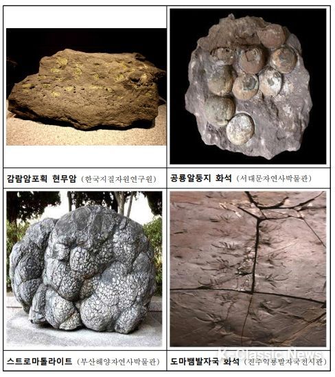 화석·암석 등 지질유산