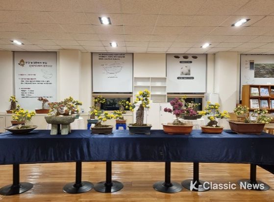 고양특례시 도시농업 아카데미 ‘생활원예국화반 전시회’