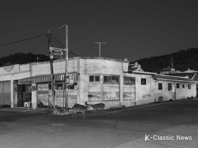 권도연_비숲#순천_피그먼트프린트_60x80cm_2022