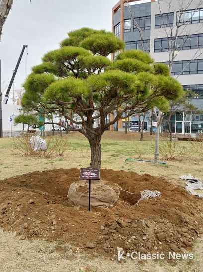 미추홀구, 제78회 식목일 나무심기 행사 개최