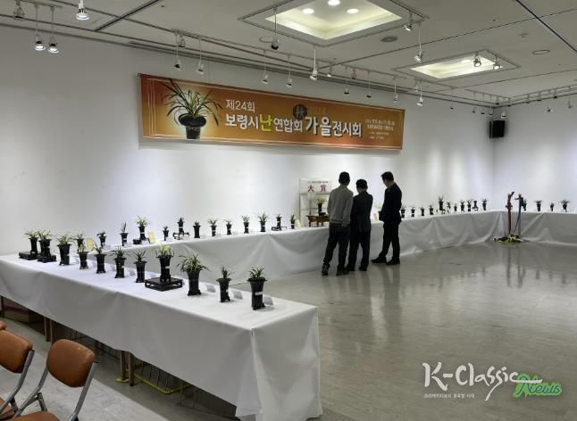 2024년 난 연합회 가을전시회 사진