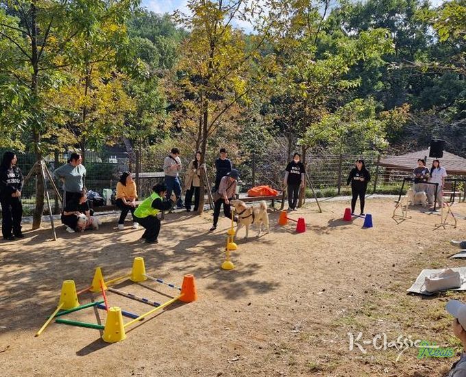 은평댕댕 가을소풍 사진