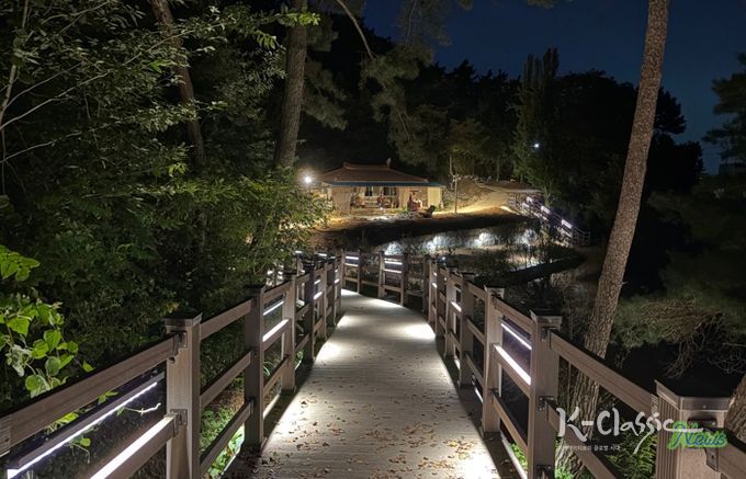 호가정 산책로 야경 사진