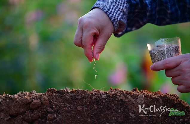 제1회 국립종자원 종자사진 공모전 수상작(대상(농식품부장관상) 수상자 : 강미자 작품명 : 참깨씨 뿌리기)