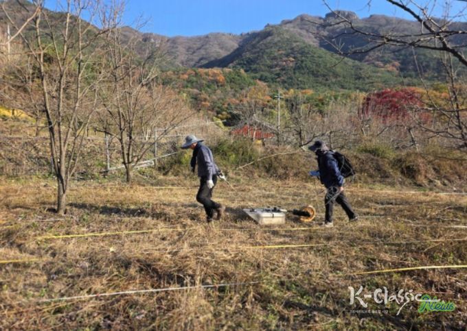 김천 갈항사지 GPR탐사 시범조사 모습 (2025년 11월)