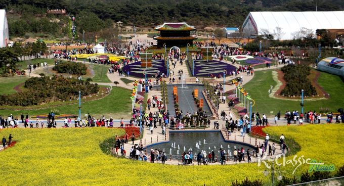 2026태안국제원예치유박람회 D-100, 개막 향해 준비 순항