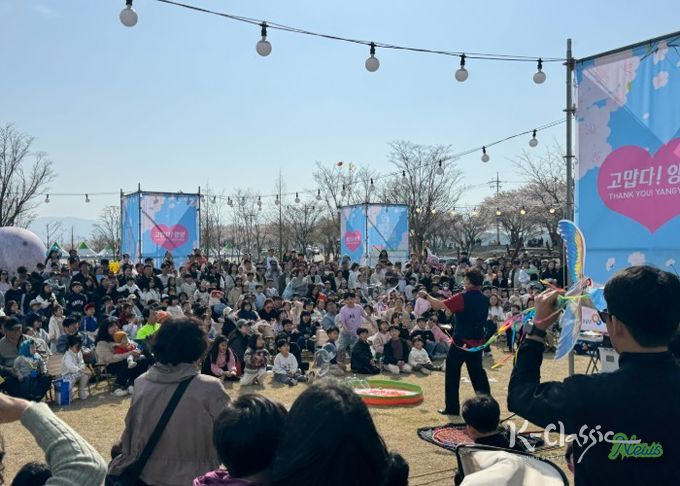 2026 양양 남대천 벚꽃축제