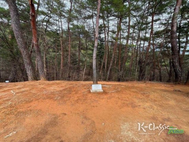 영월 장릉 정령송 주변 들꽃 식재 예정 공간