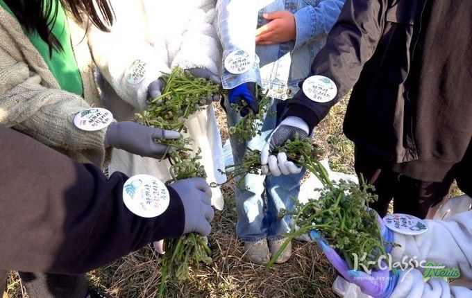 2025년 고사리 축제